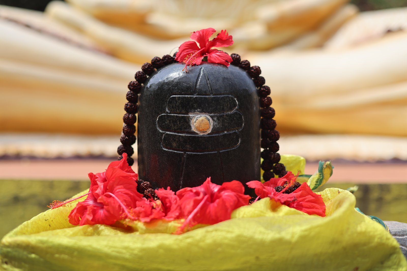 Peaceful meditation at sunrise